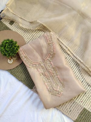 Organza suit set with zardozi work