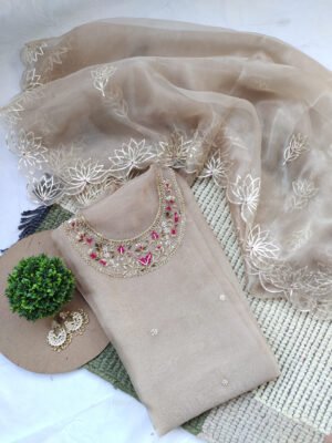 Organza suit set with zardozi work