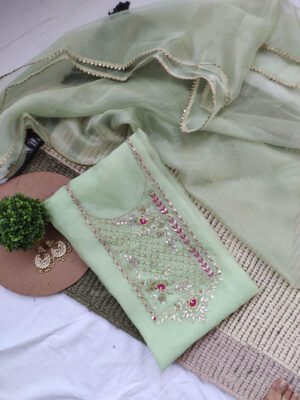 Organza suit set with gota patti