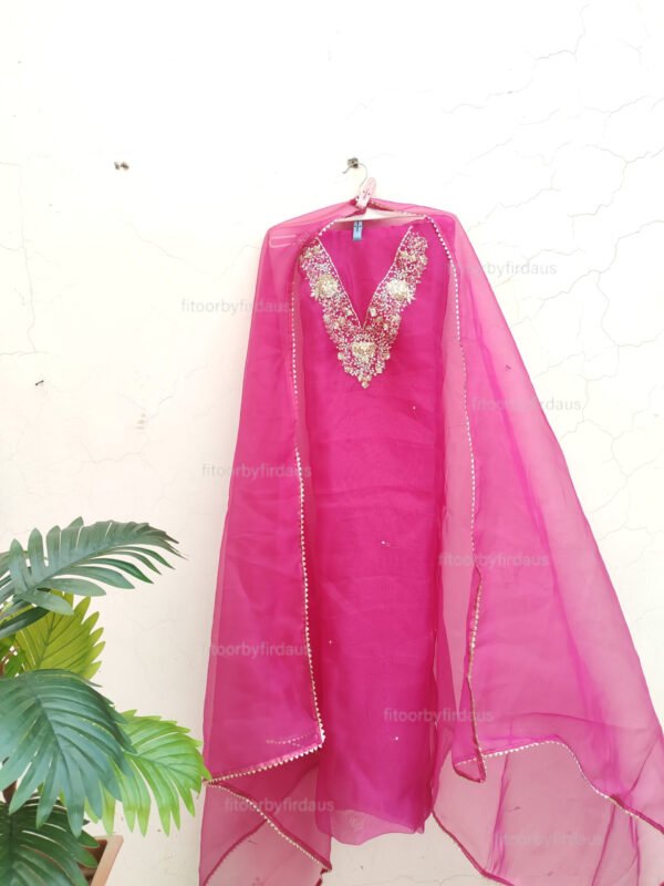 Organza suit set with zardozi work - Image 5