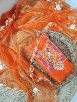 Organza suit set with zardozi work