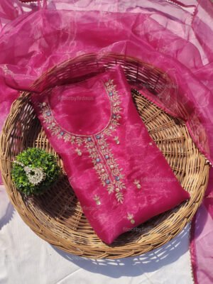 Organza suit set with beaded handwork