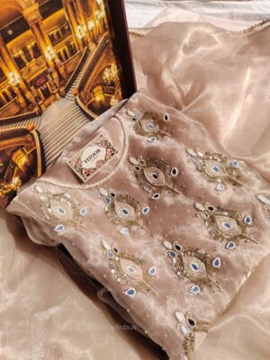 Organza suit set with mirror and beaded work