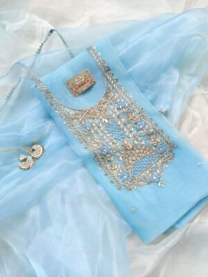 Organza suit set with zardozi work