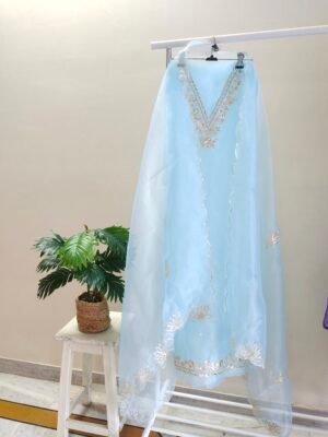 Organza suit set with gota patti work
