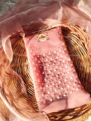 Organza suit set with beaded handwork