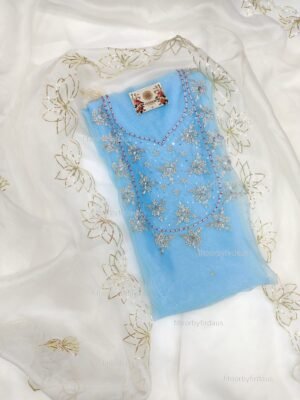 Organza suit set with gota patti work