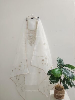 Organza suit set with gota patti and beads work