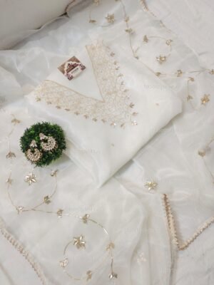 Organza suit set with beads and zardozi work