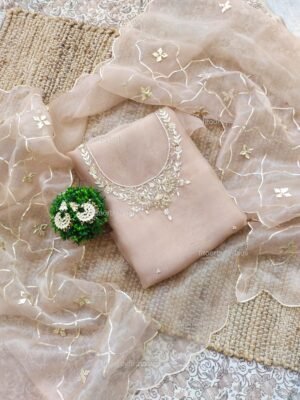 Organza suit set with zardozi work