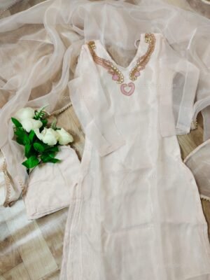 Stitched Organza suit set with handwork