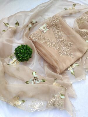 Organza suit set with zardozi work and hand painted dupatta