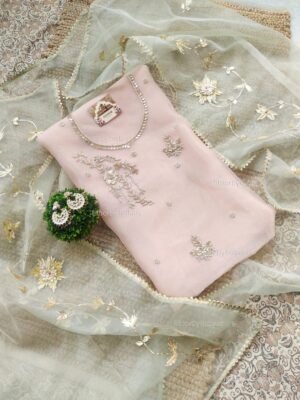 Organza suit set with zardozi work with work dupatta