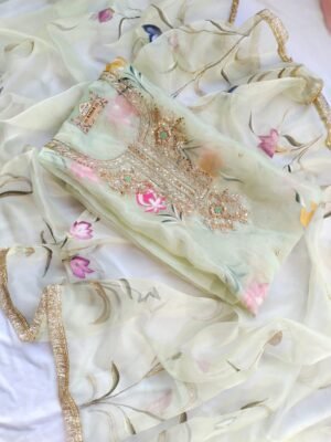 Organza suit set with zardozi work and hand painted handwork dupatta